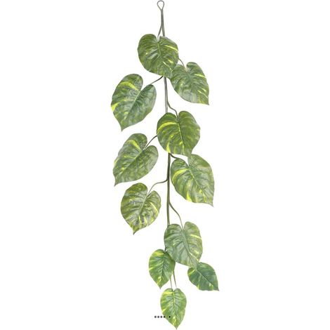 Guirlande géante de pothos artificiel H 180 cm D 55 cm superbe (1/3)