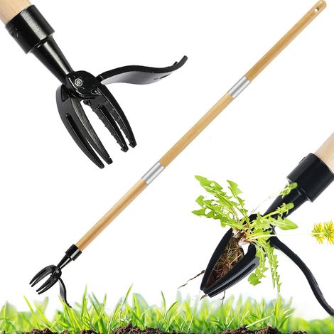 Extracteur de mauvaises herbes – Manche long 114,3 cm en bambou, tête acier 4 griffes pour pissenlit, désherbeur jardin pelouse, arrache-racines