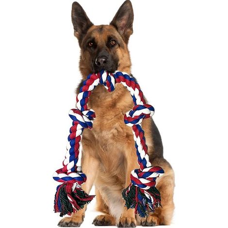 Coavas – Corde à mâcher pour chien 95 cm – Coton naturel durable – 5 nœuds pour entraînement – Jouet indestructible pour chiens agressifs (1/5)