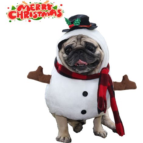1 Déguisement bonhomme de neige, costume debout avec écharpe rayée, accessoire fête pour chien et chat (1/5)