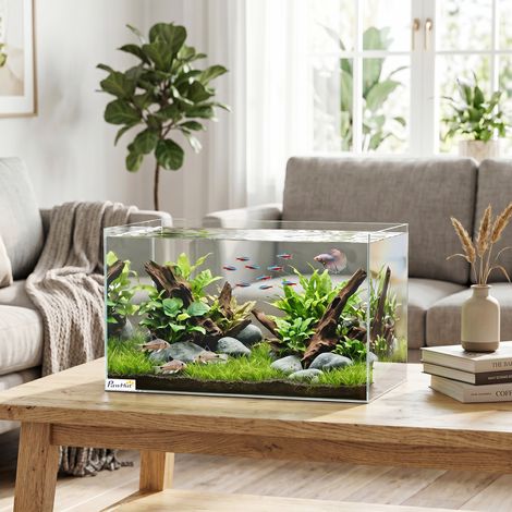 Aquarium 43L en Verre Trempé avec Tapis de Protection Pour Poissons, Crevettes, Tortues, 50 x 30 x 30 cm, Transparent (1/5)
