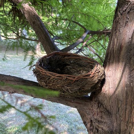 Beliebtes Vogelnest aus Kiefernnadeln, Papageiennest, kleines Vogelnest, Brutkasten, warmes Vogelnest (1/5)