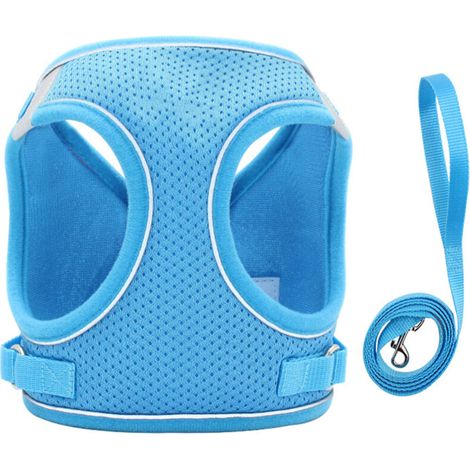 Jeffergarden Harnais Respirant 360° pour Chat – Veste Réfléchissante avec Crochet de Traction Rotatif, Ensemble Laisse (Taille S) (1/5)