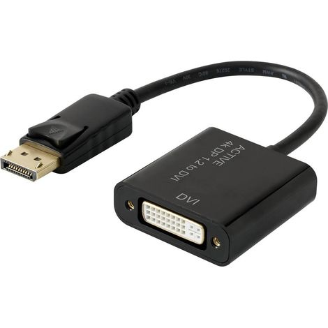 Adaptateur DisplayPort, DVI Renkforce RF-4299048 [1x DisplayPort mâle - 1x DVI femelle 24+5 pôles] 1 (1/3)