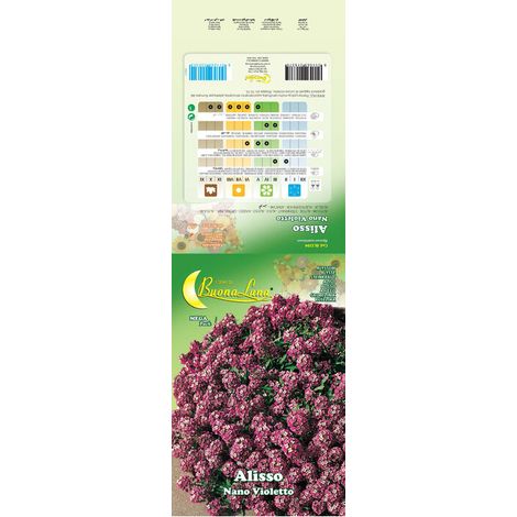 SEMI GARDEN ALISSO VIOLETTO NANO Q.TA 10