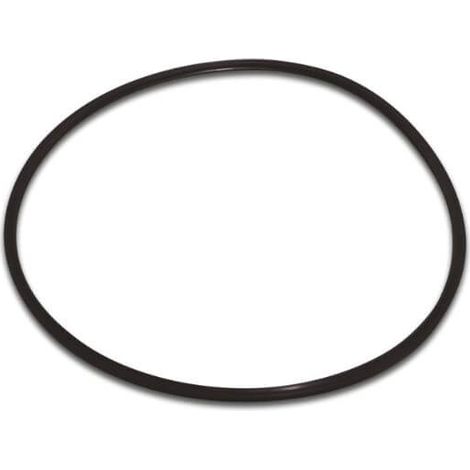 O-Ring für Deckel SS Serie Pumpe SS Flotide und Hydro-S, Brilix FXP