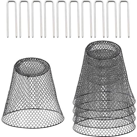 Jaula de protección para plantas [Juego de 5 + 10 clavos en forma de U] – Cesta metálica para frutas/verduras, 4 x 10 cm, macetero para invernadero (1/2)