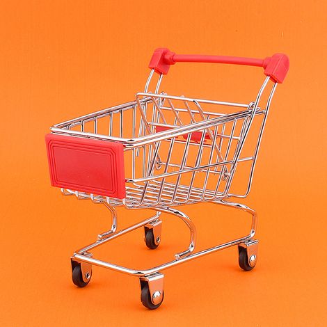Chariot de courses mini pour animaux, caddie supermarché jouet perroquet oiseau, intelligence et développement, accessoire ludique (1/5)