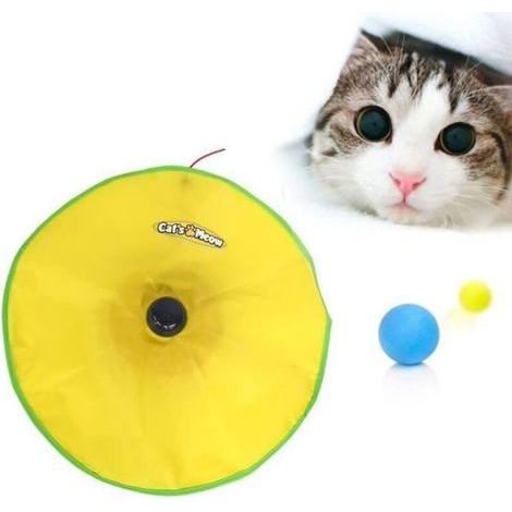 pair CAT\\'S MIAOU Le jeu sous forme de tapis souris pour chat (1/4)