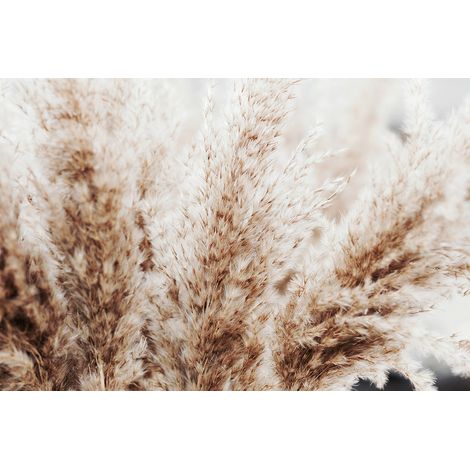 Papier peint panoramique - Pampas - 130 cm x 87 cm (1/2)