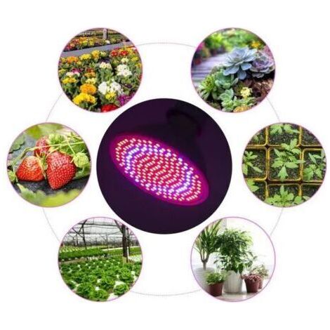 Projecteur LED pour plantes 200LED - Lumière de croissance pour plantes - Serre, Jardin - Économe en énergie (1/4)
