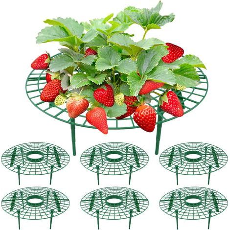 6 - Support De Fraise - Accessoire De Jardinage - Protection Contre La Pourriture Et Moisissure - Pour Fraises Tomates Poivrons - Vert - 30x30x10cm (1/5)