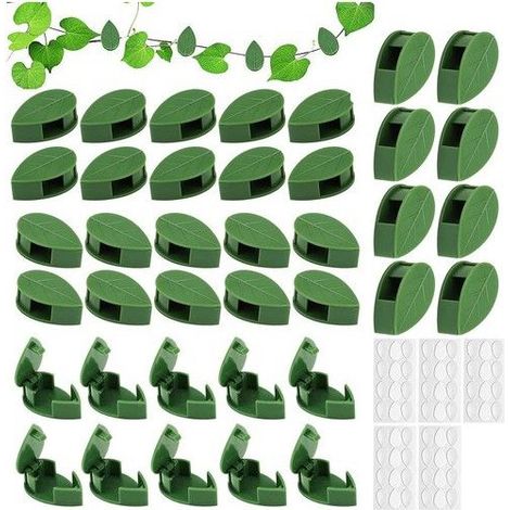 Clips muraux pour plantes grimpantes - 50 pièces - Auto-adhésif - Plastique ABS - Dimensions 2x3 cm - Couleur verte (1/5)