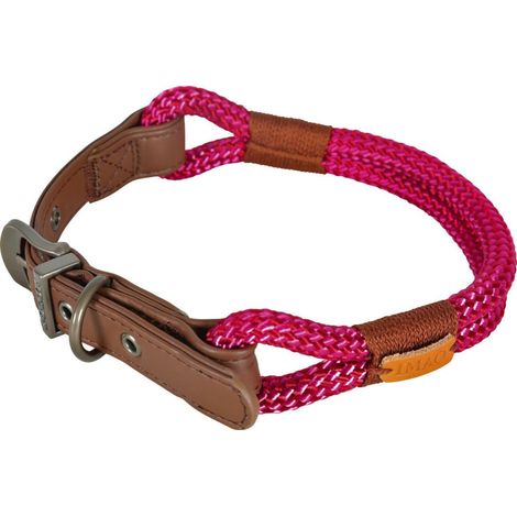 Collier IMAO 40 cm x 6 mm Hyde park fuchsia  pour chien. - zolux