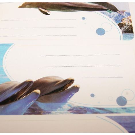 12 étiquettes adhésives scolaires - Rectangle - Photos de dauphins (1/2)