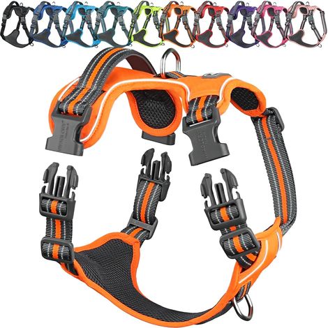 Harnais Anti-Traction pour Chien, Harnais d’Entraînement et de Promenade, Anti-Tirage pour Chiot avec Poignée, Sécurisé Anti-Fugue et Non-Stop, Orange - Patterned, L (1/5)