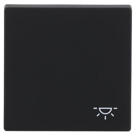 Busch-Jaeger Bascule avec impression symbole "Lumière" pour interrupteur/bouton-poussoir, 1 canal noir mat - Plateforme 63 (2520 LI-885), 2CKA001751A3193