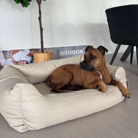 Lit pour chien MEDIUM - Série Royal (1/5)