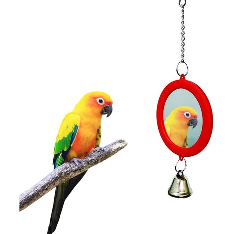 Miroir pour oiseaux, avec clochette, jouet interactif pour perruches, calopsittes, canaris, perruches, perruches, perruches, accessoires (rouge) (1/5)