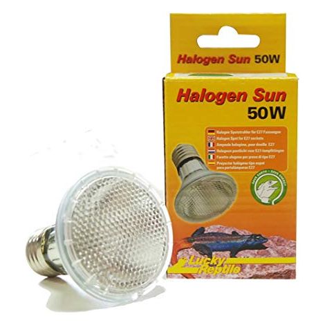 Lucky Reptile HS-50 Halogen Sun, 50 Watt (1/4)