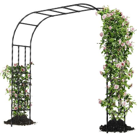 Garden Arch for Climbing Plants, 250 x 240 x 40 cm, Metal Arch for Roses, Decorative Outdoor Gazebo, Rust and Fade Resistant (1/5)