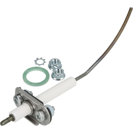 Electrode d'ionisation
