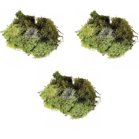 OFFERTA 3 LICHENE VERDE PER PRESEPE 30 GR
