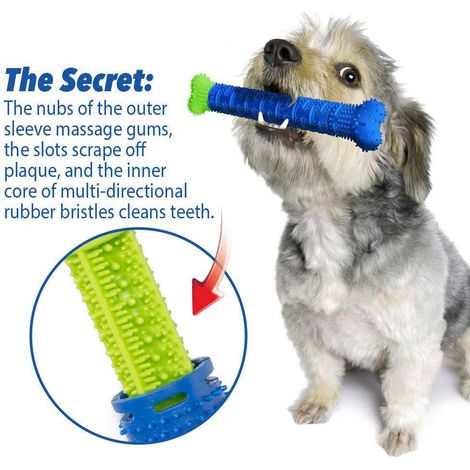 Brosse À Dents Pour Chien Et Jouet - Aucun Dentifrice Pour Chien Requis - Excellent Jouet De Nettoyage Des Dents De Chien (1/5)