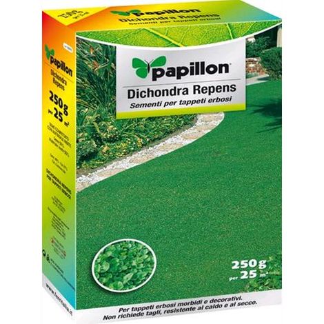 SEMI PRATO "DICHONDRA REPENS" PAPILLON - 250gr - ideale per aiuole