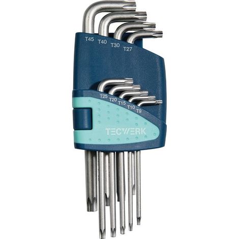 Jeu de tournevis coudés 9 pièces T9-T45 support plastique TECWERK (1/4)