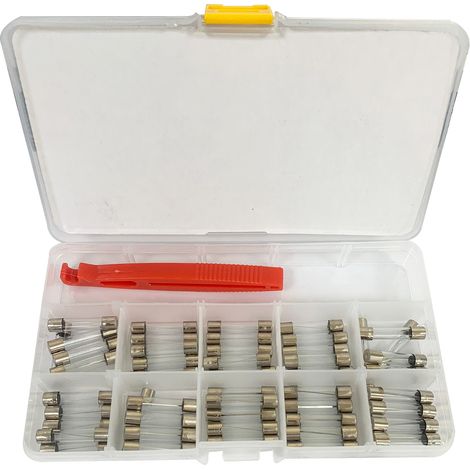 Set fusibili In Vetro A Tubo Con Pinzetta 1AMP A 30AMP assortimento fusibile (1/5)