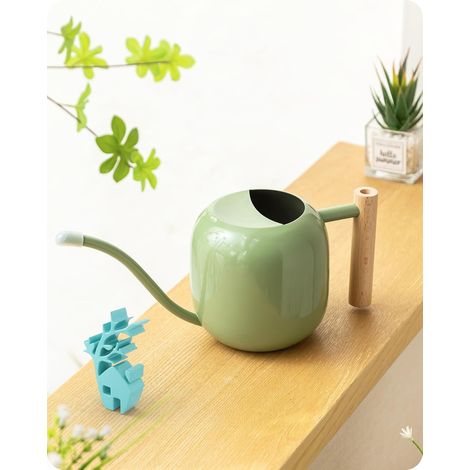 Arrosoir d'intérieur pour plantes d'intérieur et bonsaï (1,2 L, vert sauge)  Petit pot d'arrosage en métal pour plantes d'intérieur avec long bec et poignée en bois, 1 162,3 g (1/5)