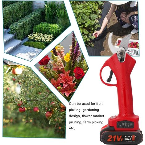Sécateur électrique sans fil, outil de taille efficace pour arbres fruitiers et bonsaïs (une batterie et un chargeur)