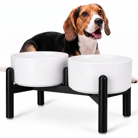 Ceramic Raised Dog Bowl - Double Bowl with Stainless Steel Stand - Raised Bowls for Small and Medium Dogs - 660 ml x 2 - Black (1/5)