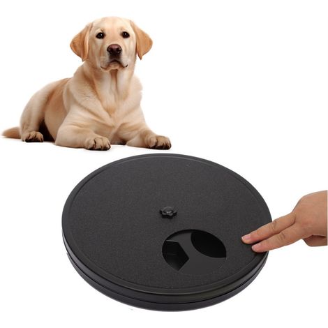Plaque multifonction pour griffes de chien (1/5)