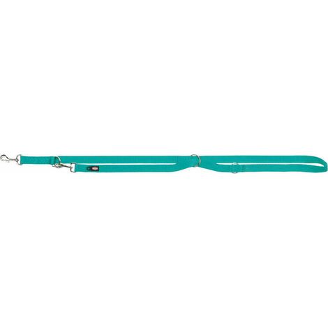 Premium guinzaglio addestramento: L-XL: 2m/25mm acquamarina