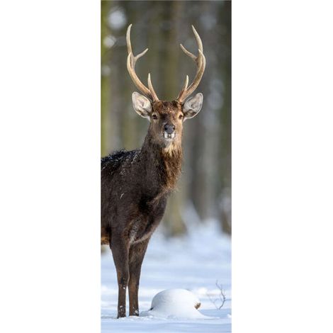 Panneau mural douche en alu-composite VIPANEL - Inspiration Nature Décor Cerf Sous la Neige - Finition Brillant - 100x255cm (1/5)
