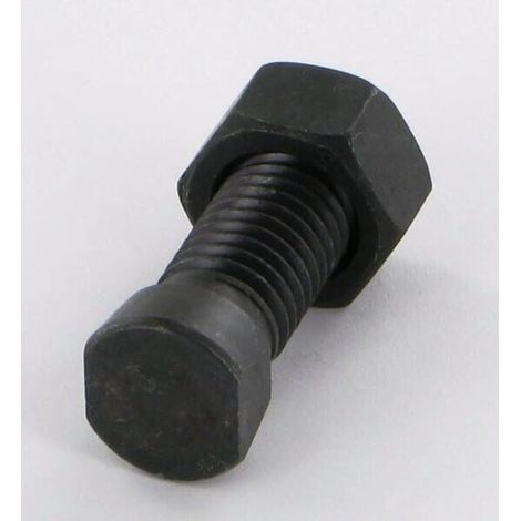 Pflugschraube TC12X38.(CL12.9) + Mutter GOIZIN 020967 (1/2)