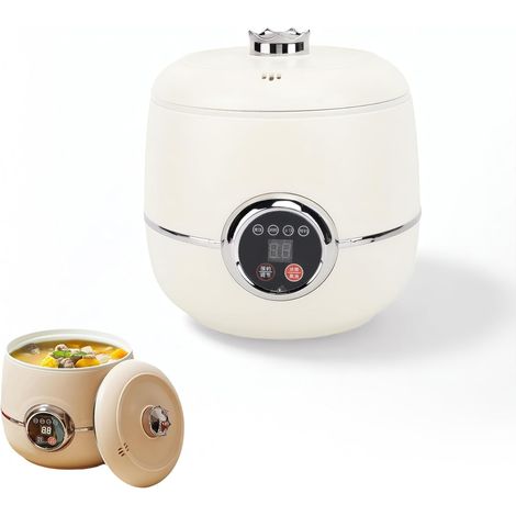 Mini Cuiseur à Riz 1,6 L - Numérique avec Couvercle Amovible, Multifonctionnel, Portable (1/5)