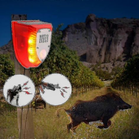 Alarme répulsive pour animaux, anti-sangliers, alarme professionnelle antivol (à minuterie) (1/4)