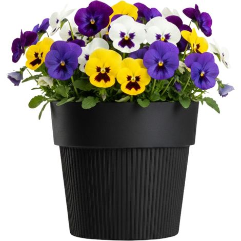SILVA LINE recycelter Blumentopf, schwarz, H 12,7 x 14,5 cm