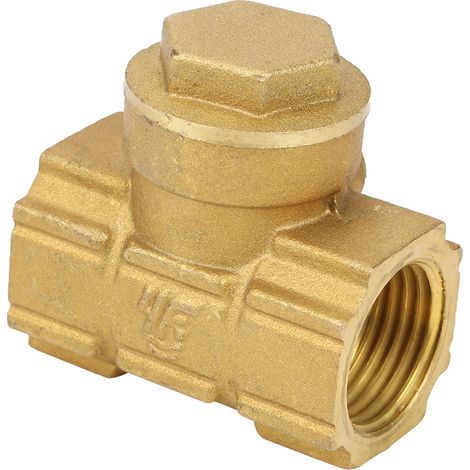 Clapet anti-retour automatique unidirectionnel en laiton DN15 pour eau, huile et milieux acides (1/5)