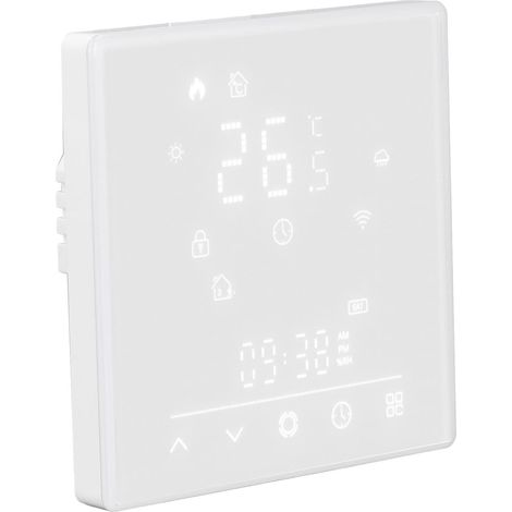 Gonfleur de Pneus Portable, Batterie 8000mAh, Pompe à Air Portable, écran LCD, Fonction de Batterie Externe, Faible Bruit pour Ballon (1/5)
