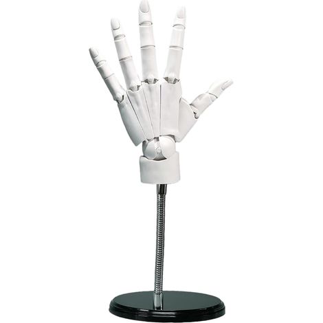 1 x Main articulée, PVC blanc, joints réglables, modèle gauche 1:1, base stable, pour dessin et peinture (1/5)