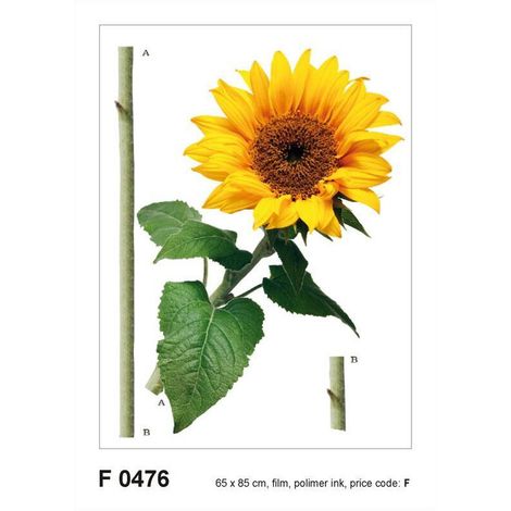 Sticker mural - Tournesol - 65 x 85 cm (1/4)