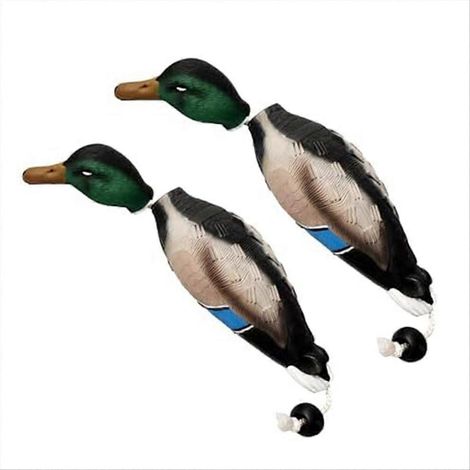 Set mit 2 Attrappen von Fasanen für die Retriever- und Entenjagd. (1/5)