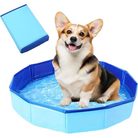 Piscine Chien Petit,50x8cm Piscine pour Animaux,PVC Piscine pour Chien,Piscine pour Chien Pliable,Pliable Piscine Baignoire pour Chien,Piscine Pliable pour Chien,Bassin de Baignade pour Chien,Bleu (1/5)