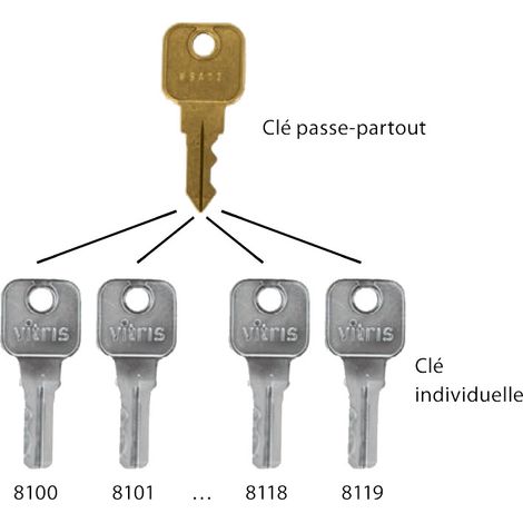 Clé passe-partout secura pour cylindres Sécura n° 8100 à 8119 – Décor bronze – VITRIS