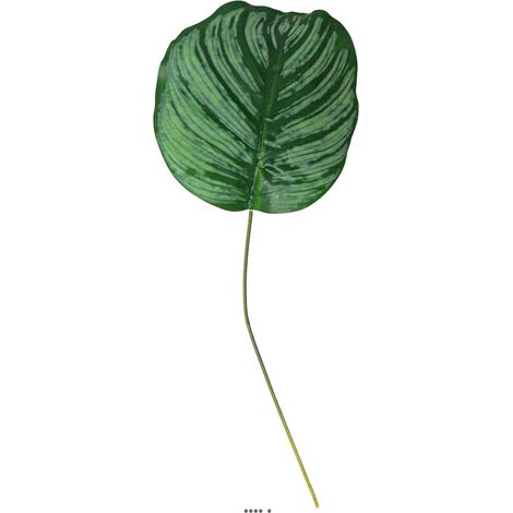 Feuille de Maranta artificielle en tissu H 40,5 cm (1/3)