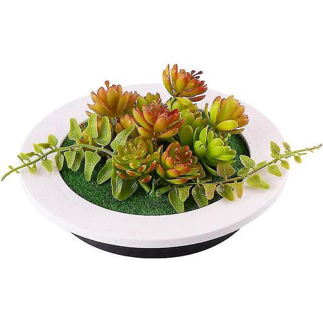 1 plante suspendue en plastique (1/3)